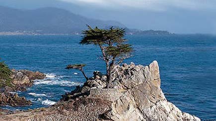 1 Día: Recorrido a Monterey y Carmel 1 Día: Recorrido a Monterey y Carmel